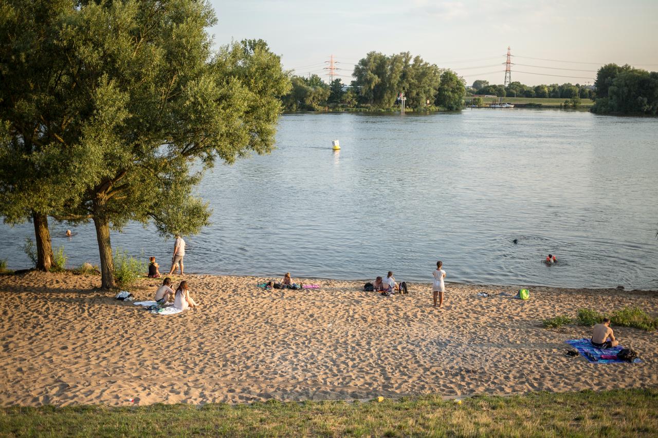 ساحل البه (Elbe Beach)