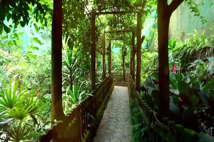 پارک پروانه کوالالامپور (Kuala Lumpur Butterfly Park)