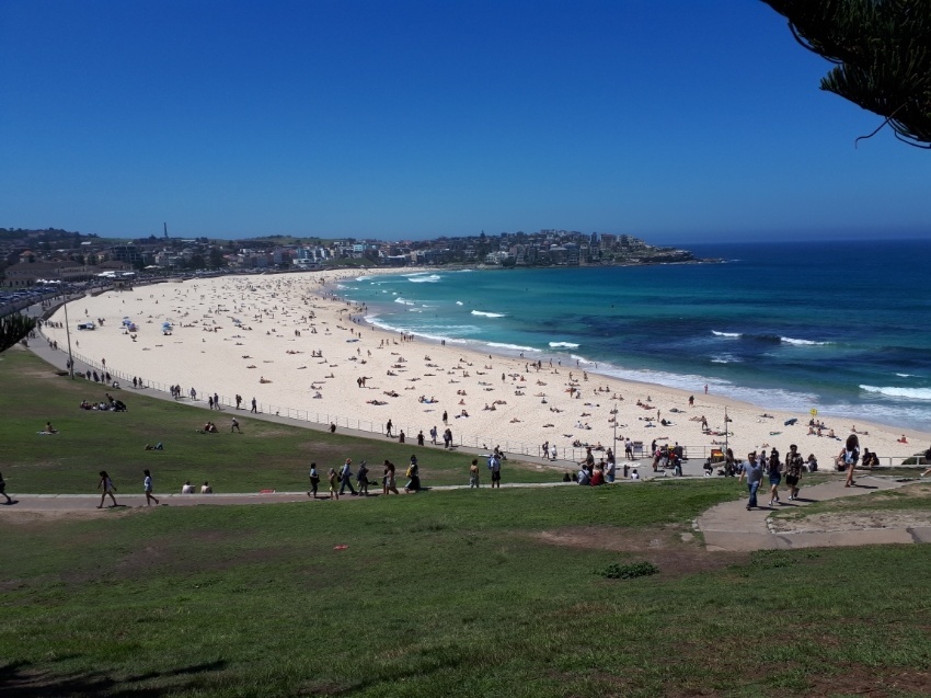 ساحل بوندای (Bondi Beach)